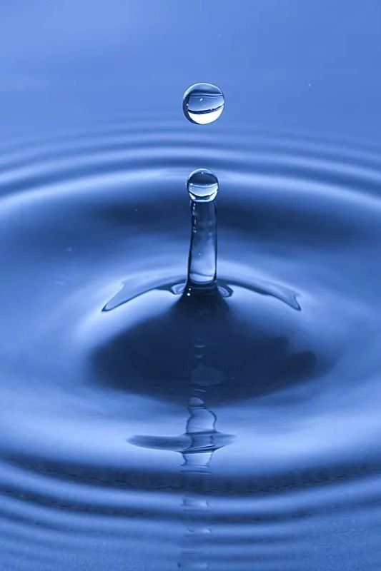La conciencia del río