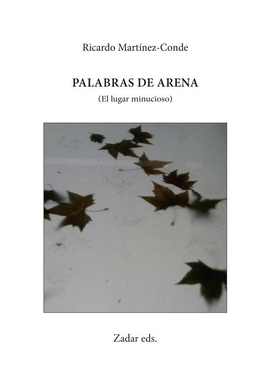 Palabras de arena (El lugar minucioso)